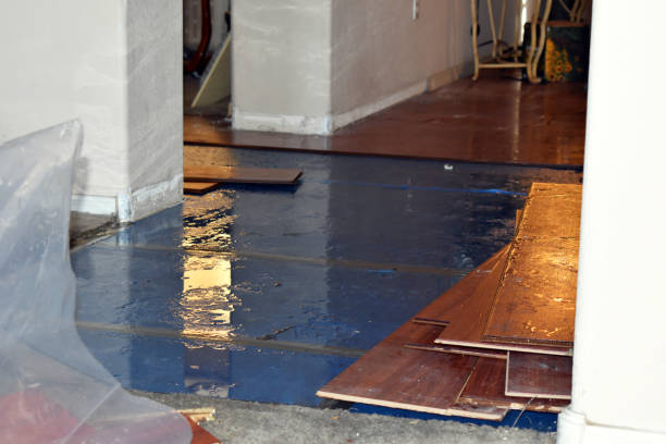 Professional Sewage Cleanup technician working in Lenzburg, IL